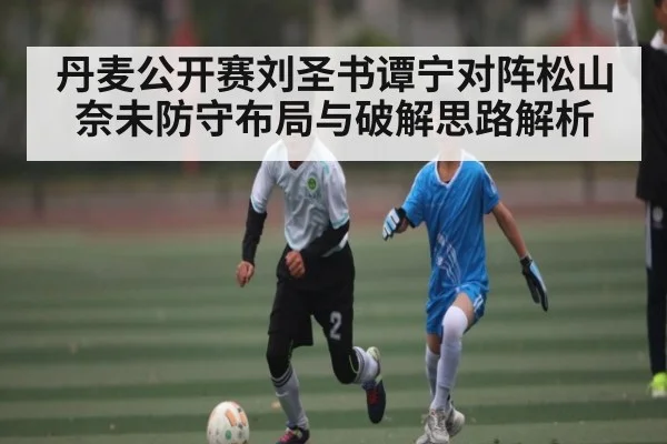 丹麦公开赛刘圣书谭宁对阵松山奈未防守布局与破解思路解析